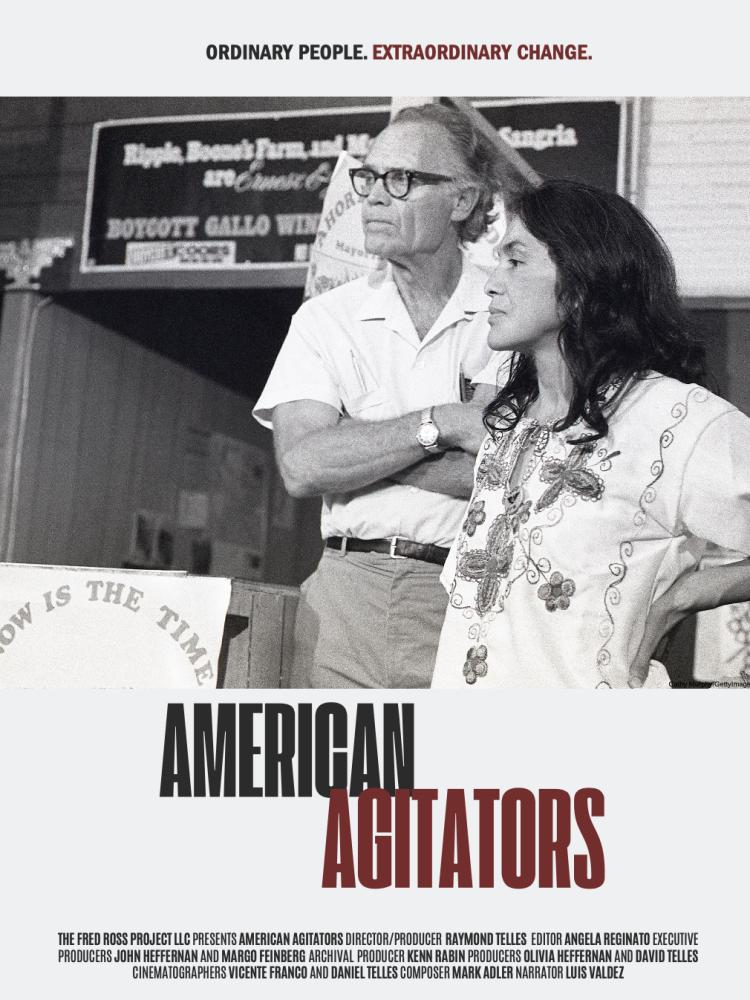 Poster of American Agitators