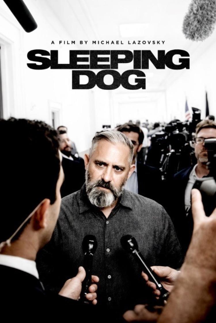 Poster of Sleeping Dog