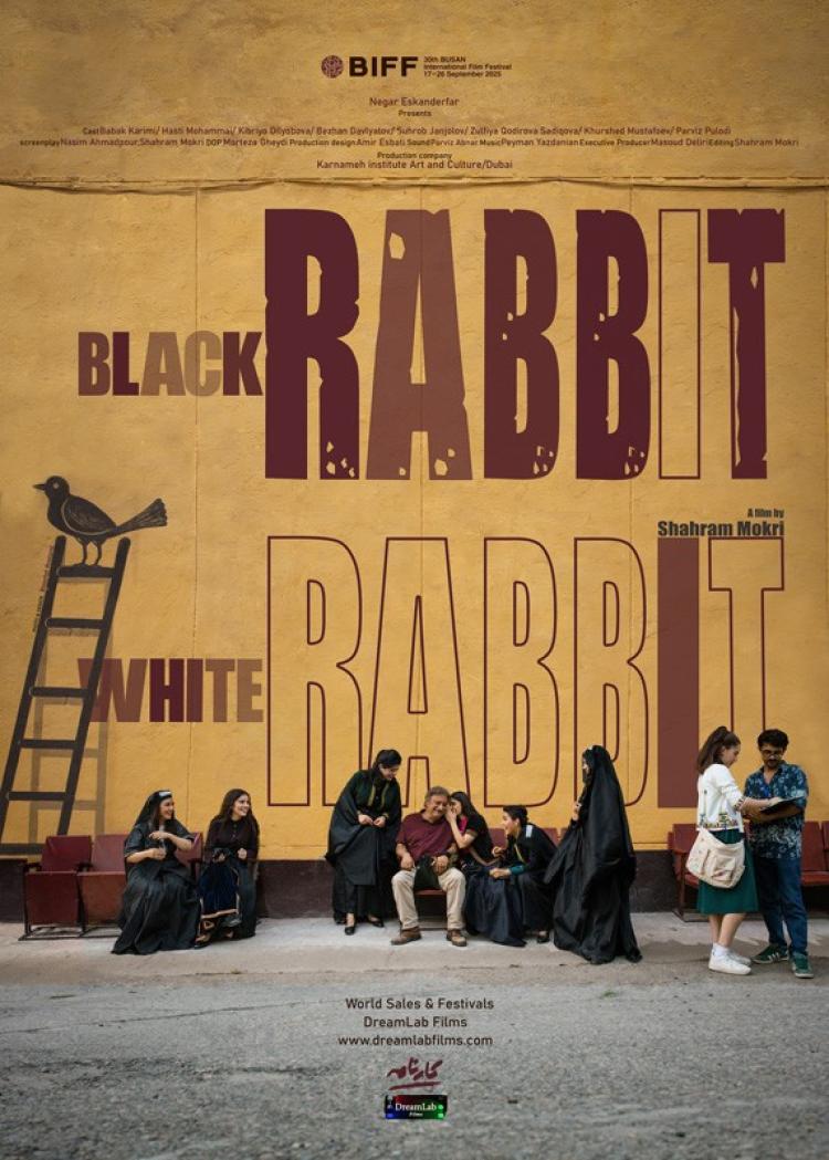 Poster of Black Rabbit, White Rabbit