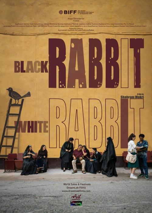 Poster of Black Rabbit, White Rabbit