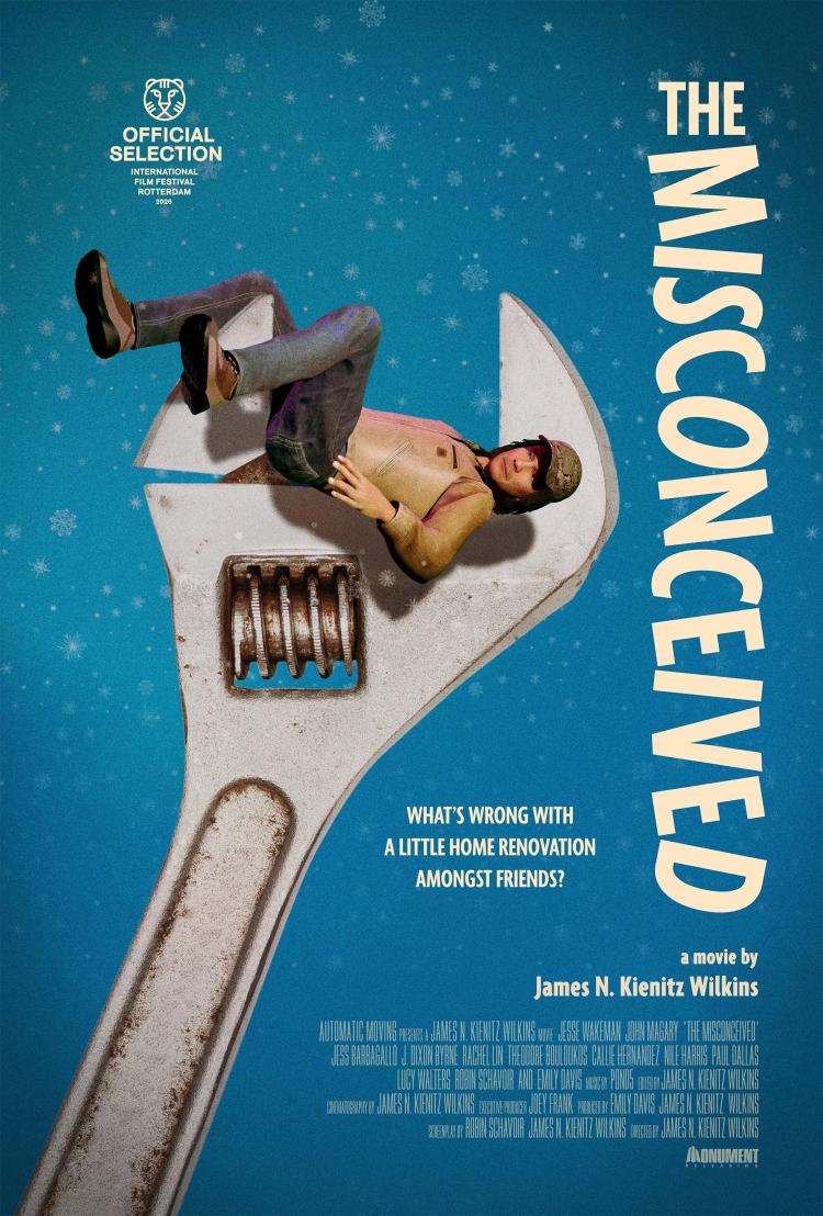 Poster of The Misconceived