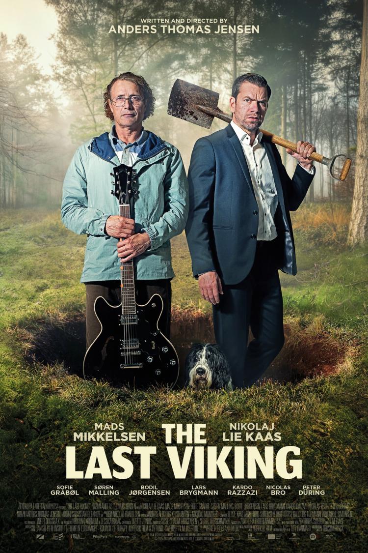 Poster of The Last Viking
