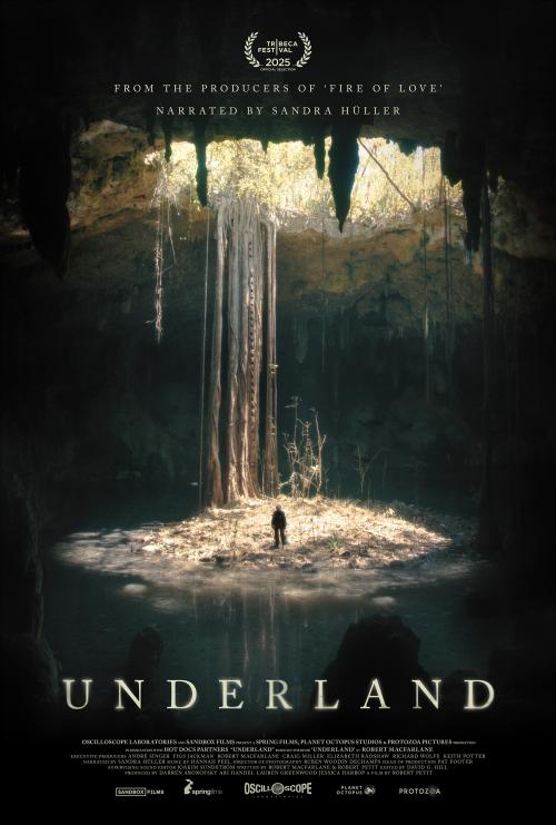 Poster of Underland