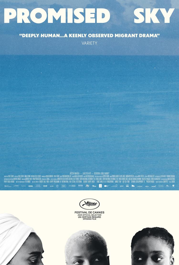 Poster of Promised Sky