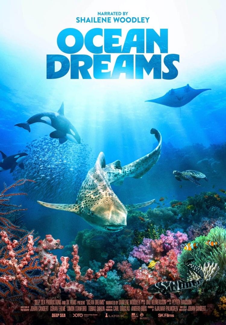 Poster of Ocean Dreams