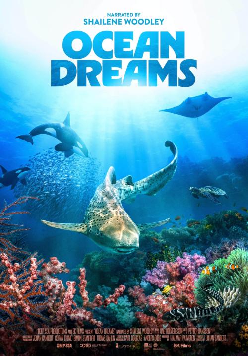 Poster of Ocean Dreams