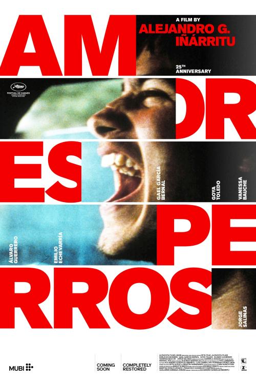 Poster of Amores perros
