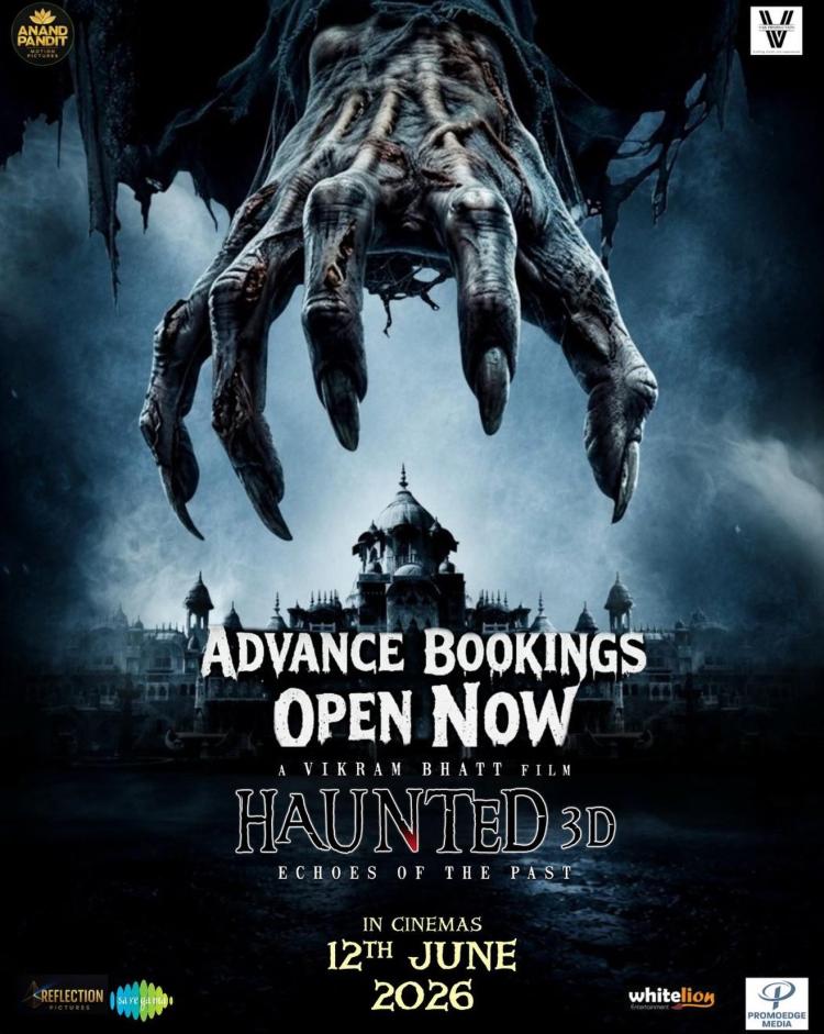 Poster of Haunted 3D: Echoes of the Past