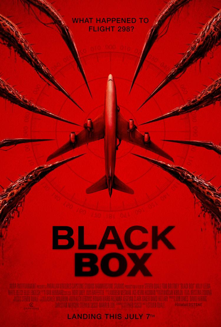 Poster of Black Box