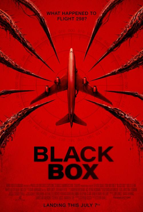 Poster of Black Box