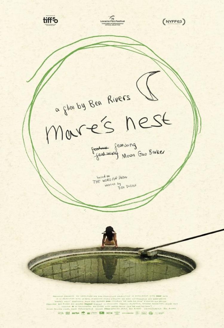 Poster of Mare's Nest
