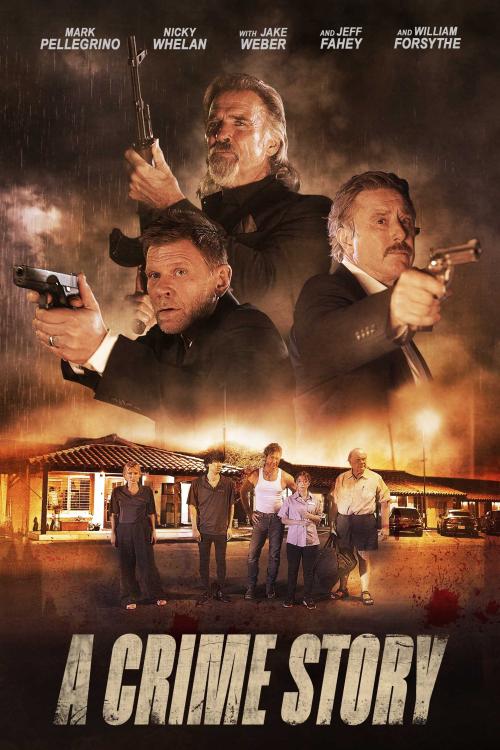 Poster of A Crime Story