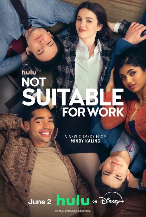 Poster of Not Suitable for Work