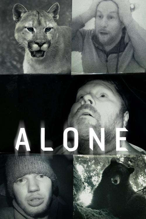 Poster of Alone