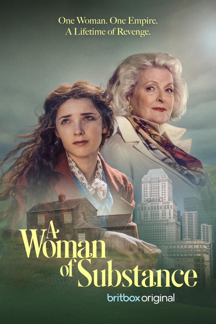 Official poster for A Woman of Substance