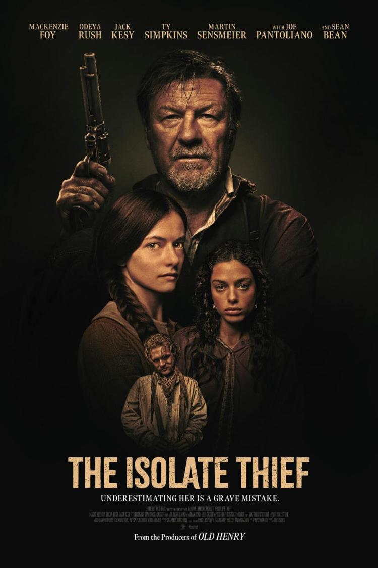 Poster of The Isolate Thief