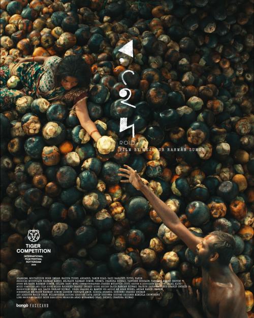 Poster of Roid