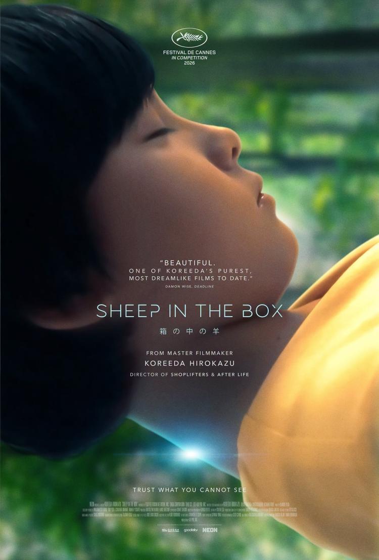Poster of Sheep in the Box