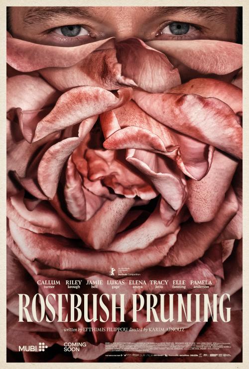 Poster of Rosebush Pruning