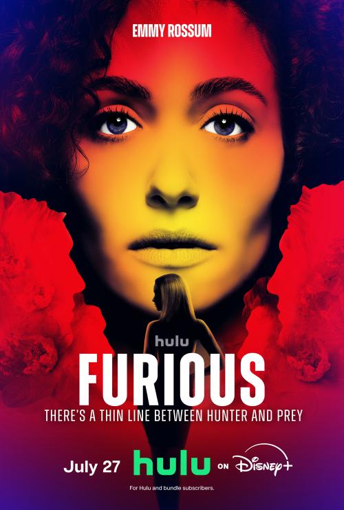 Poster of Furious