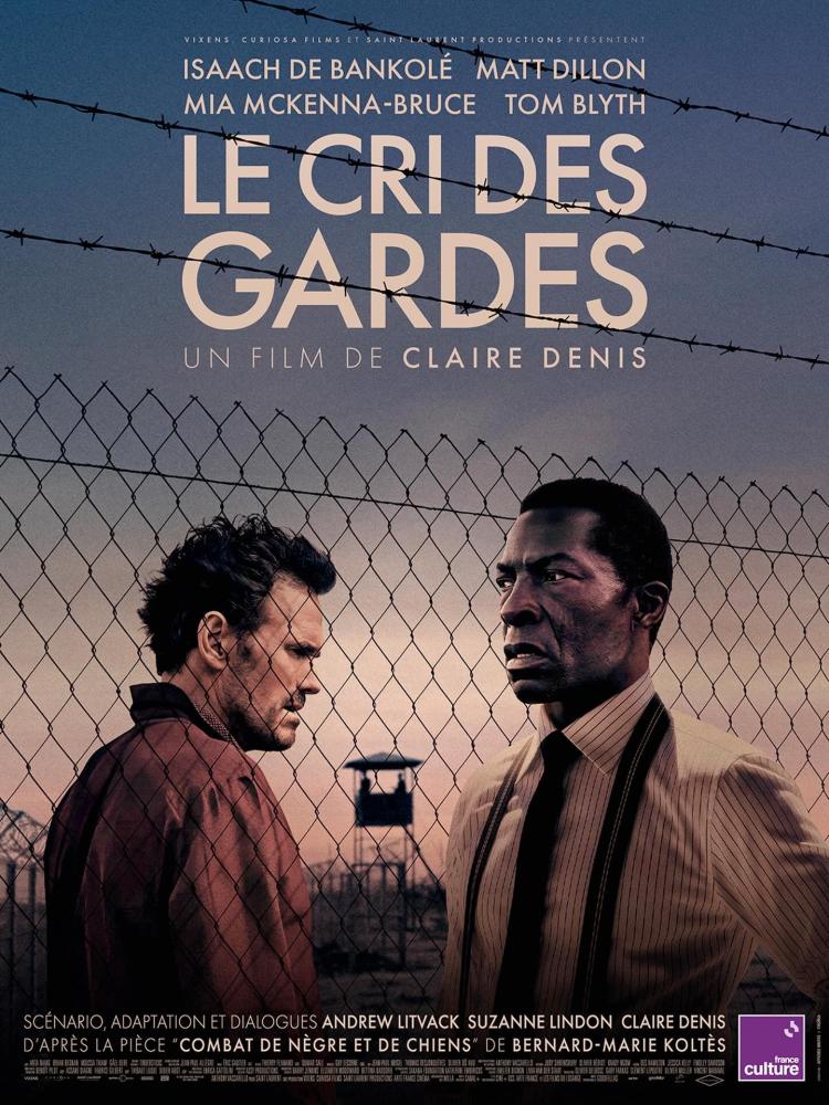 Poster of The Fence
