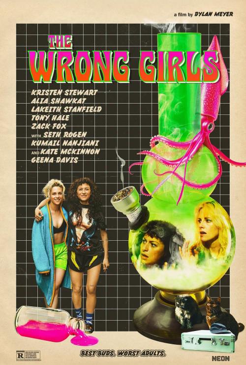 Poster of The Wrong Girls