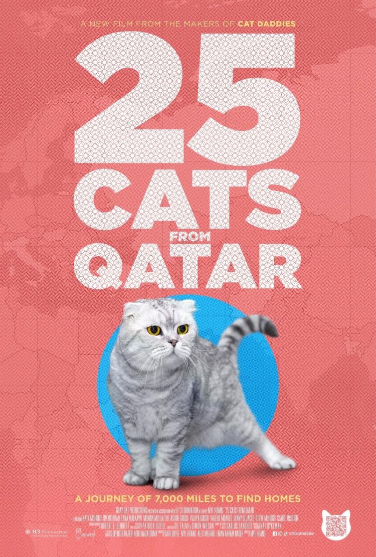 Poster of 25 Cats from Qatar