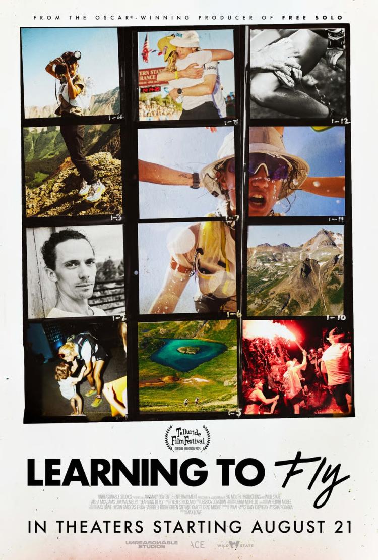Poster of Learning to Fly