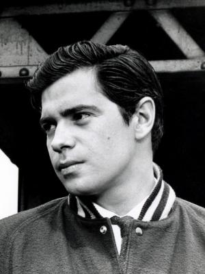 Reni Santoni