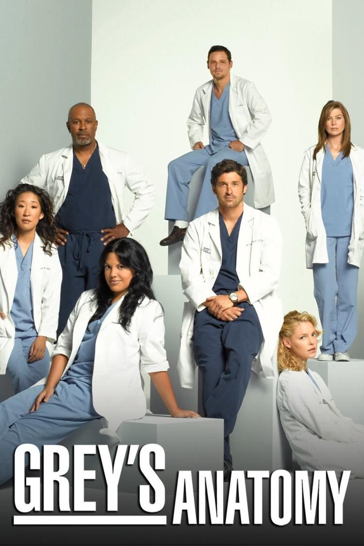Poster for Season 5 of Grey's Anatomy