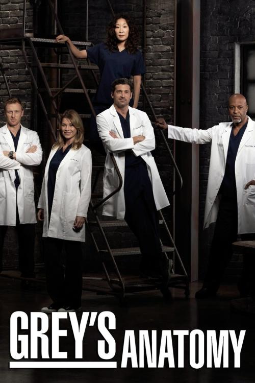 Poster for Season 9 of Grey's Anatomy