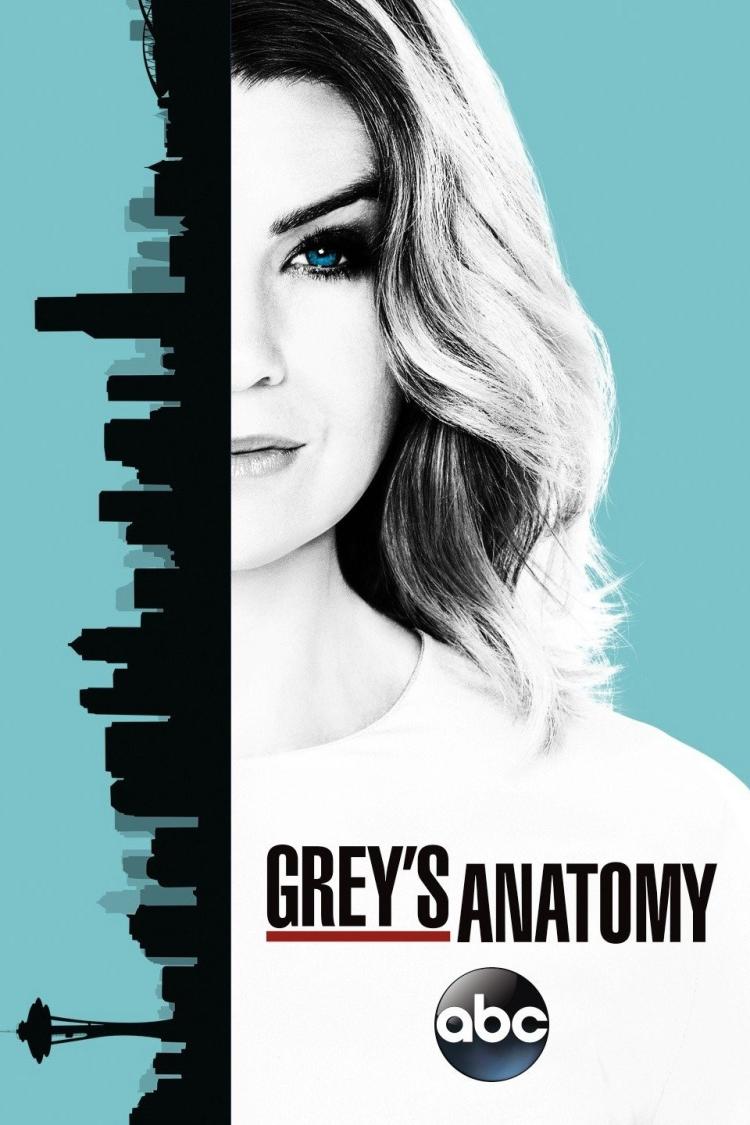 Poster for Season 13 of Grey's Anatomy
