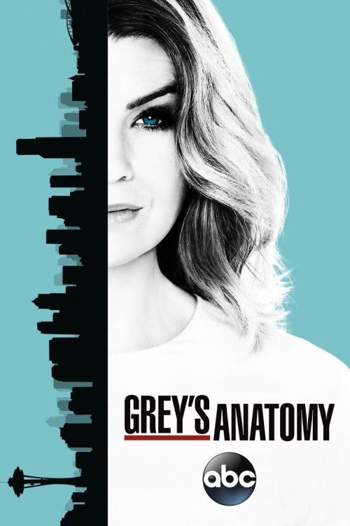 Poster for Season 13 of Grey's Anatomy