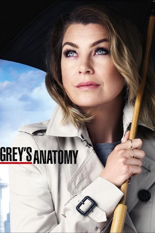 Poster for Season 12 of Grey's Anatomy