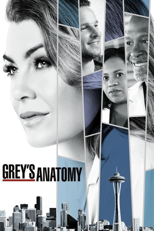 Poster for Season 14 of Grey's Anatomy
