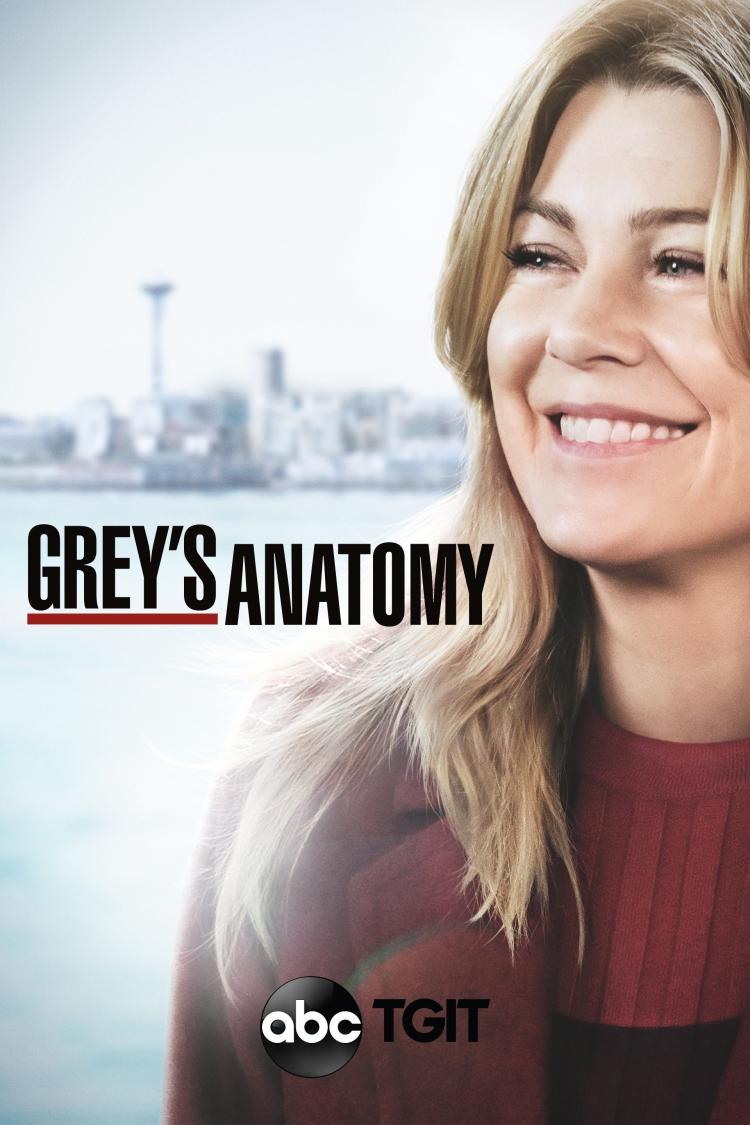 Poster for Season 15 of Grey's Anatomy