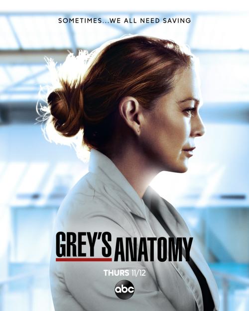 Poster for Season 17 of Grey's Anatomy