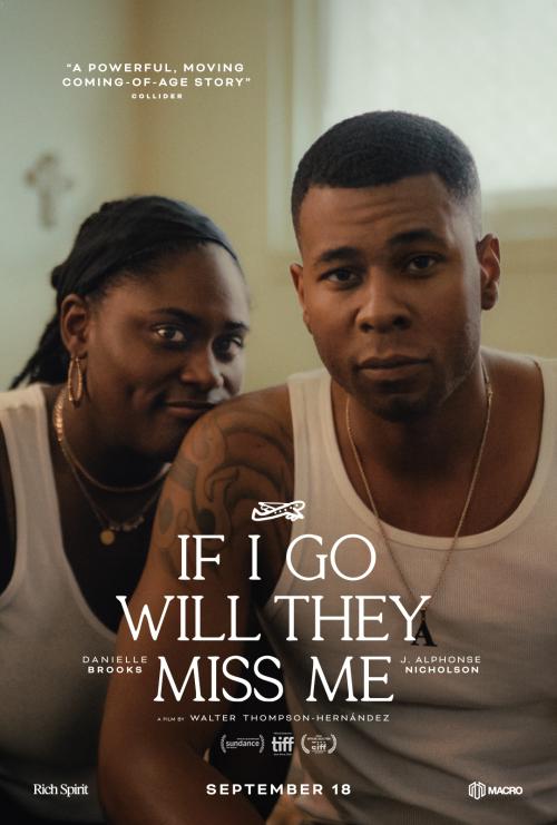 Poster of If I Go Will They Miss Me