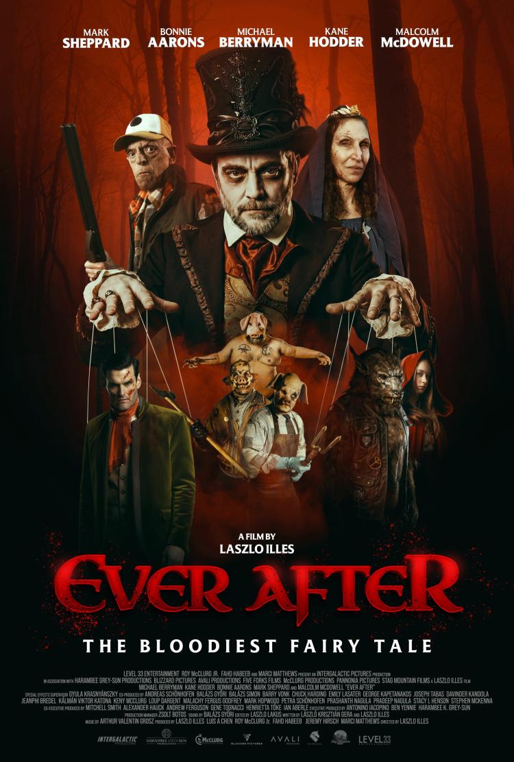 Poster of Ever After