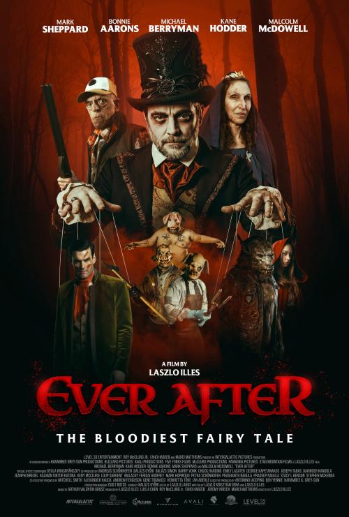 Poster of Ever After