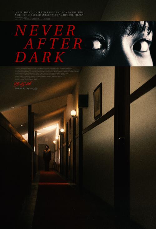 Poster of Never After Dark 
